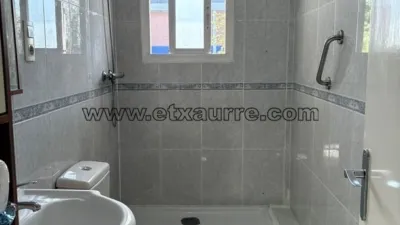 Apartment in Areta photo 12