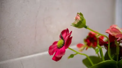 Apartment in Guarnizo photo 13