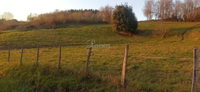 House in Amorebieta photo 3