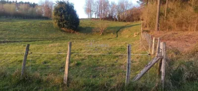 House in Amorebieta photo 4