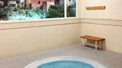 Flat on Calle del Pintor Fernando Soria, 9 photo 33