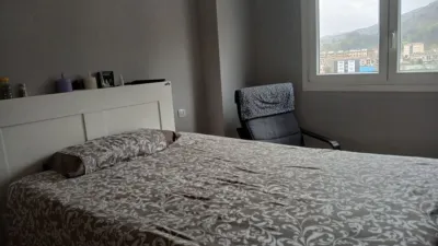 Apartment in Aiega Etxaldea photo 32