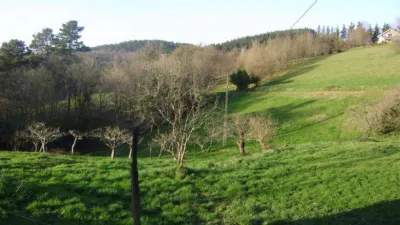 House in Amorebieta photo 79