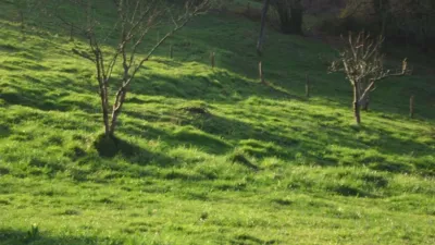 House in Amorebieta photo 83