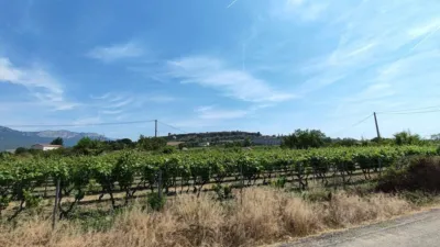 Chalet en Situado Entre Dos Carreteras: Navaridas-Elciego photo 62