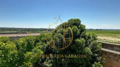 House in Santacara photo 16