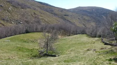 House in Tres Cabañas with Land in La Merindad de Valdeporres photo 16