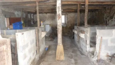 House in Virtus photo 16