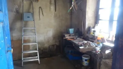 House in Virtus photo 22