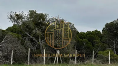 Rustic Finca in Rada photo 33