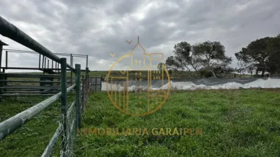 Rustic Finca in Rada photo 43