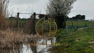 Rustic Finca in Rada photo 44