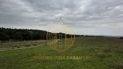 Rustic Finca in Rada photo 46