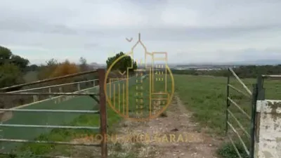 Rustic Finca in Rada photo 4