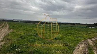 Rustic Finca in Rada photo 53