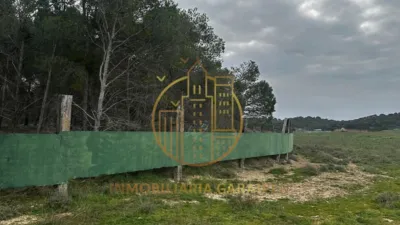 Rustic Finca in Rada photo 57