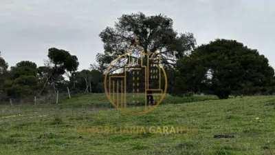 Rustic Finca in Rada photo 66