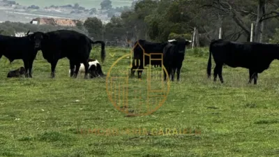 Rustic Finca in Rada photo 67