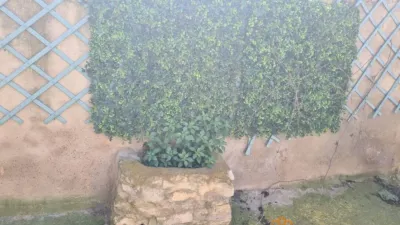 Casa en venta en Calle Calle Manqueta, Sástago de 33.000 €