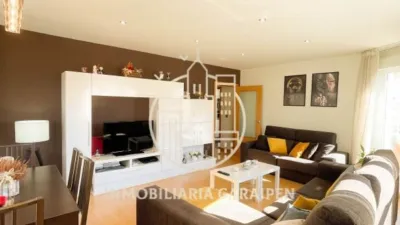 House in Santacara photo 4