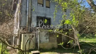House on Basauntz Street photo 17