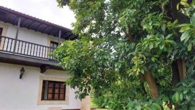 House in San Miguel de Meruelo photo 13
