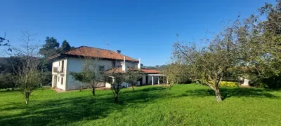 House in San Miguel de Meruelo photo 21