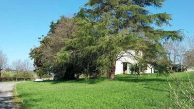 House in San Miguel de Meruelo photo 22