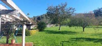 House in San Miguel de Meruelo photo 33