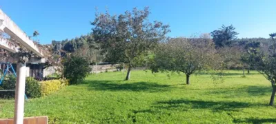 House in San Miguel de Meruelo photo 34