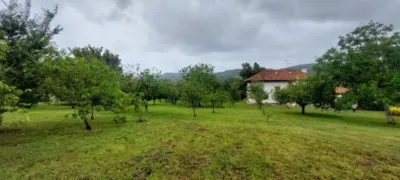 House in San Miguel de Meruelo photo 37