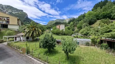 Apartment in Mañaria photo 12