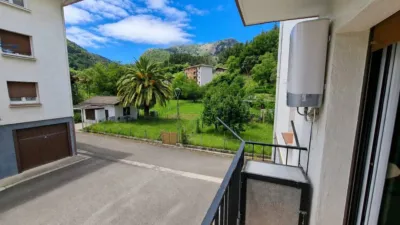 Apartment in Mañaria photo 26