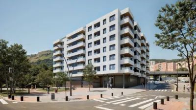 Apartment in Basurto photo 24