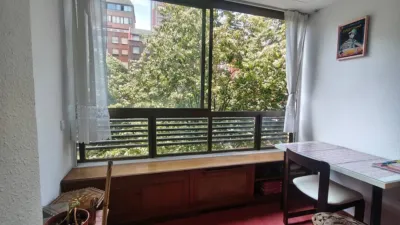 Apartment on Juan Antonio Zunzunegui Etorbidea, 10 photo 19