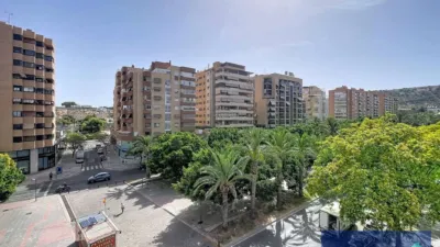 Apartment on Avenida del Pintor Xavier Soler, 8 photo 32