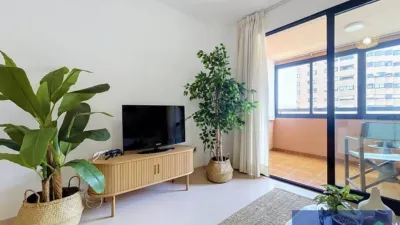 Apartment on Avenida del Pintor Xavier Soler, 8 photo 48