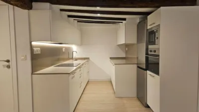 Apartment in Parte Vieja photo 15