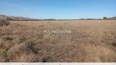 Terreno en venta en Villena - Vista 4