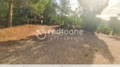 Chalet in Busot photo 8