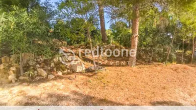 Chalet in Busot photo 9