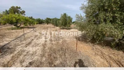 Chalet in Novelda photo 44