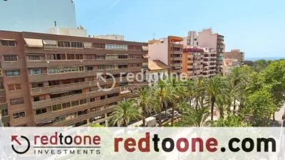 Apartment in Ensanche photo 38