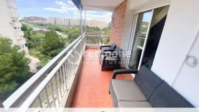 Pis – Alicante - Alacant - Vista 2