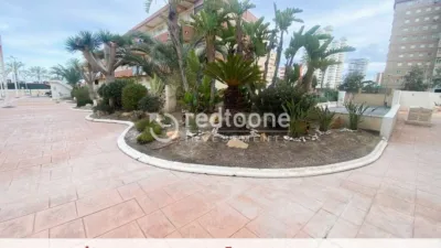 Apartment in Playa San Juan photo 32