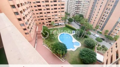 Apartment in La Cala photo 32