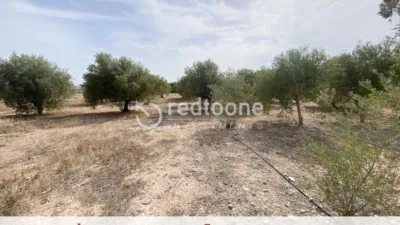 Chalet in Novelda photo 48