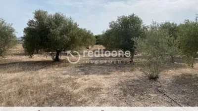 Chalet in Novelda photo 47