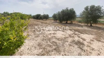 Chalet in Novelda photo 50