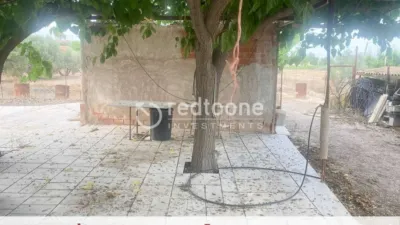 Chalet in Novelda photo 39